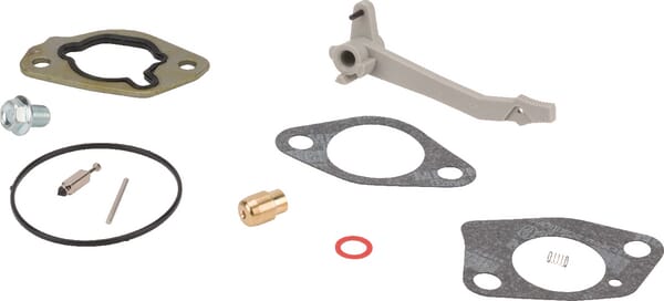 Briggs & Stratton Kit reparación carburador - 84004389 - Kit reparación carburador
