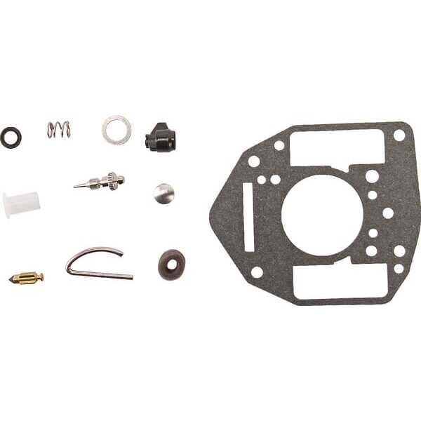 Briggs & Stratton Kit reparación carburador - 842881 - Set de reparación carburador