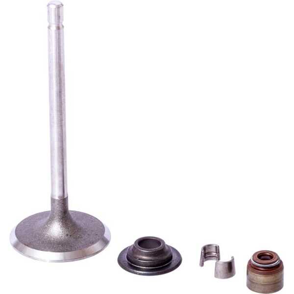 BS VálvulasBriggs & Stratton - 843730 - Intake valve