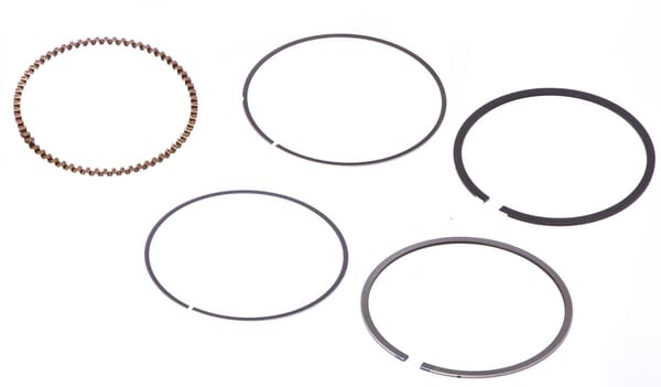 Juego de anillos - 843953 - Briggs & Stratton