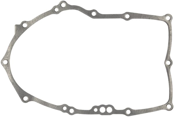 Pakdåse-carter/015 - 843969 - Briggs & Stratton
