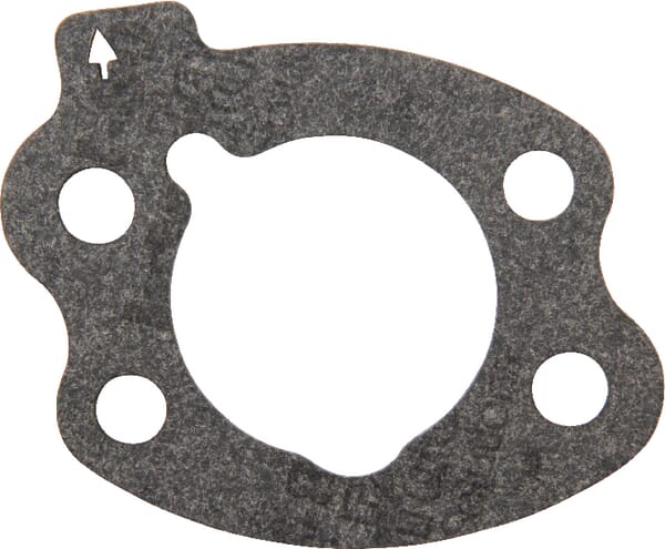 Briggs junta del filtro de aire - 844931 - Briggs & Stratton