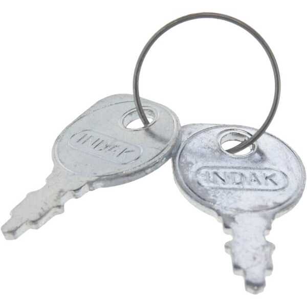 AL-KO  - AGW53864 - Ignition key set (2x)