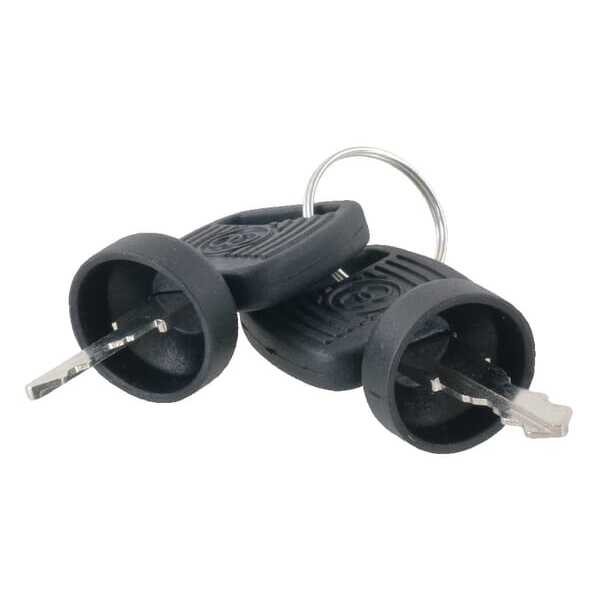 AL-KO  - ET29534 - Keys (2 pieces)